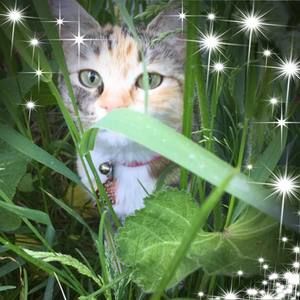 Meet your Posher, Russell